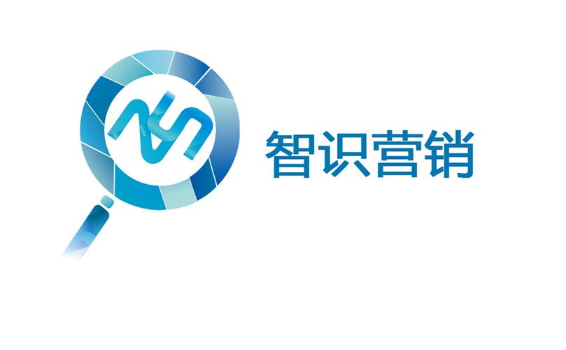 信息技術(shù)服務(wù)全景解讀 從產(chǎn)品設(shè)計(jì)到科技信息咨詢(xún)